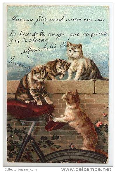 VINTAGE Ca1900 Postal Postcard With Cats Gatos - Gatos