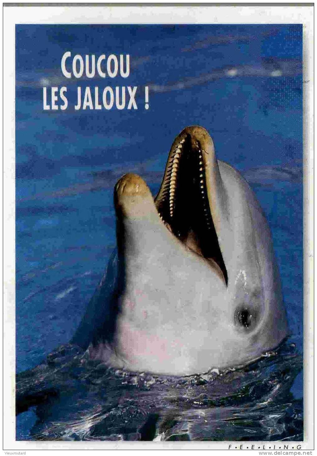 CPSM. COUCOU LES JALOUX ! ZONE  BLEU. F.E.E.L.I.N.G.  DATEE 1994 - Delfines