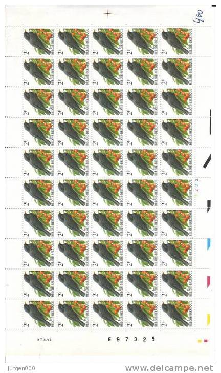 Drukdatum 2 Fr. Merel - 17.XI.93 - E97329 Sterk Verschoven Tanding ! - 1985-.. Oiseaux (Buzin)