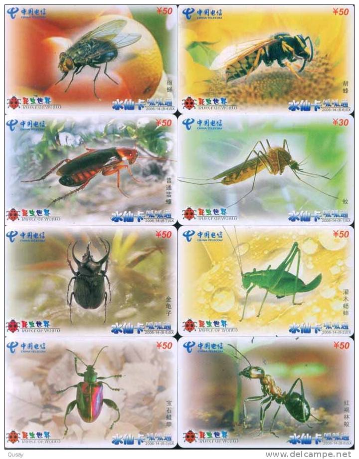 Insect Beetle Ant Fly Bee   ,China Telecom, Used Phonecard , 8  PCs - Lieveheersbeestjes