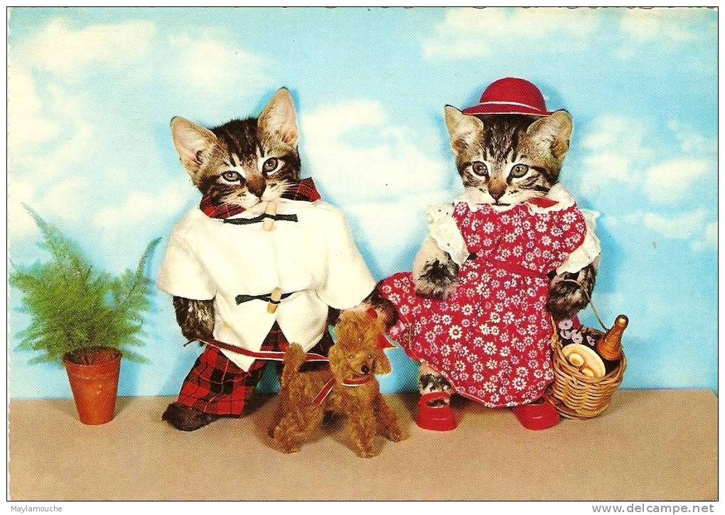Chats Humanises - Dressed Animals