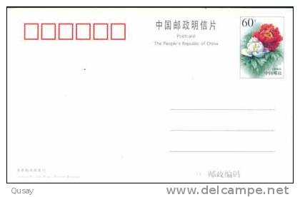 Fish Lotus Flower Goat Sheep  , Pre-stamped Card , Postal Stationery - Farm