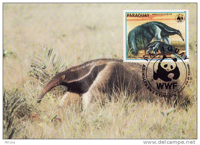 3478 - WWF - Carte Maximum Paraguay - Maximum Cards