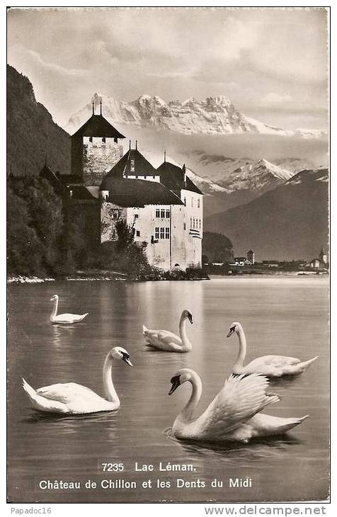 CH - VD - Lac Léman, Château De Chillon Et Les Dents Du Midi - GJG N° 7235 - CPSM (circulée 1953) [Veytaux - Cygnes] - Veytaux