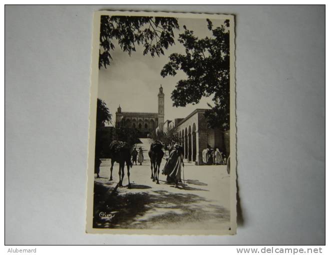 Laghouat. La Grande Mosquée .c.p.photo 14x9. - Laghouat