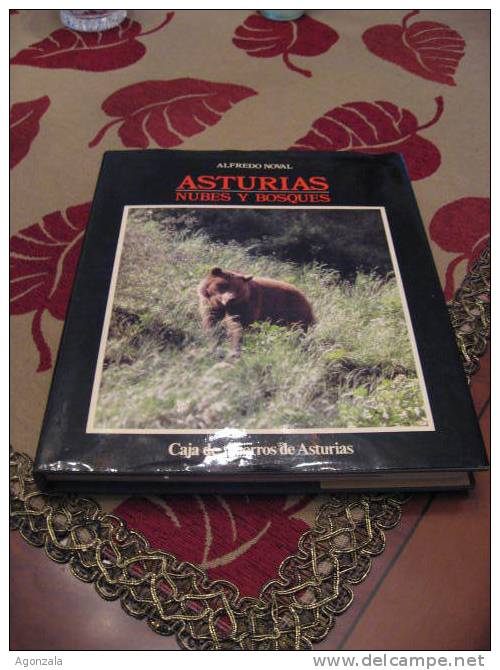 LIBRO ASTURIAS NUBES Y BOSQUES - Geografía Y Viajes