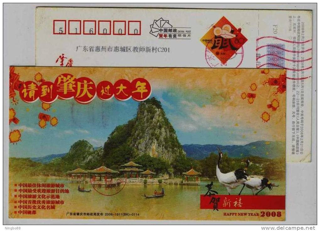 Red Crowned Crane Bird,mountain Landscape,China 2008 Zhaoqing Tourism Advertising Pre-stamped Card - Grues Et Gruiformes