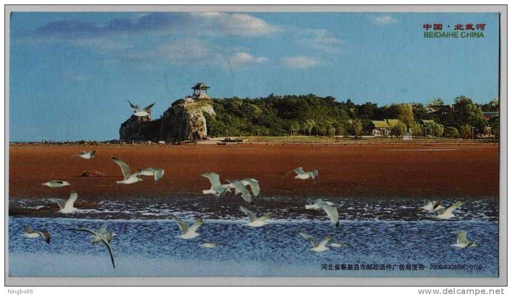 Seagull Bird,China 2006 Beidaihe Landscape Advertising Pre-stamped Card - Mouettes