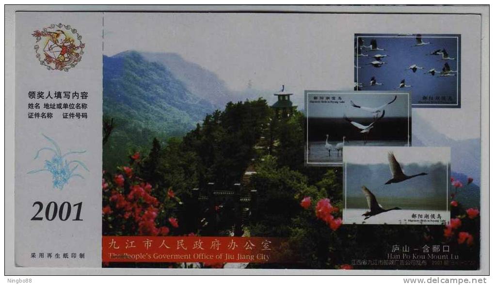 Poyanghua Lake Crane Bird,swan,migratory Bird,Mt.Lushan Hanbokou,CN 01 Jiujiang Landscape Advertising Pre-stamped Card - Grues Et Gruiformes