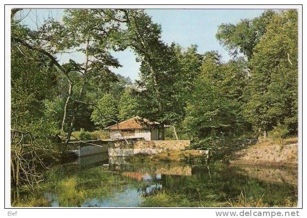 SABRES (Landes, 40): Ecomusée De La Grande Lande "MARQUEZE "; Le Moulin Et L'Etang De Retenue ; TB - Sabres