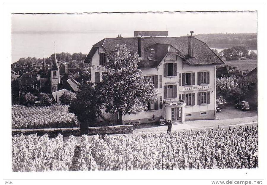 SUISSE - Hôtel Bellevue AUVERNIER - Auvernier