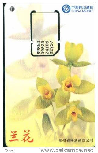 Orchid  Orchidée Flower Fleur  ,China Mobile, Used Phonecard , 1 PC - Fleurs