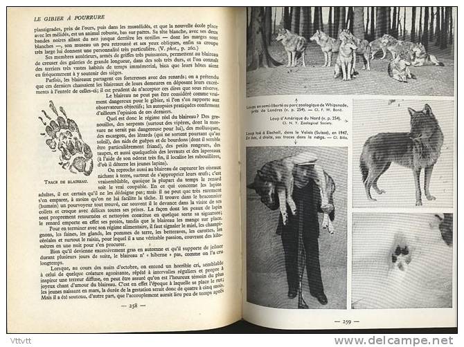 "La Chasse" De G.M. Villenave (Larousse, 1954) 590 Pages. TBE. - Caccia/Pesca