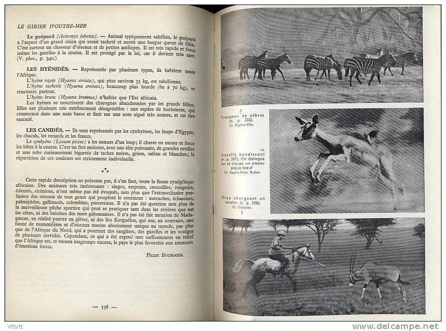 "La Chasse" De G.M. Villenave (Larousse, 1954) 590 Pages. TBE. - Fischen + Jagen