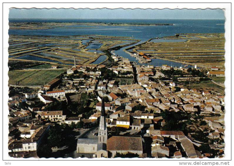 Vue Générale Aérienne, Les Marais Salants - Ile De Ré