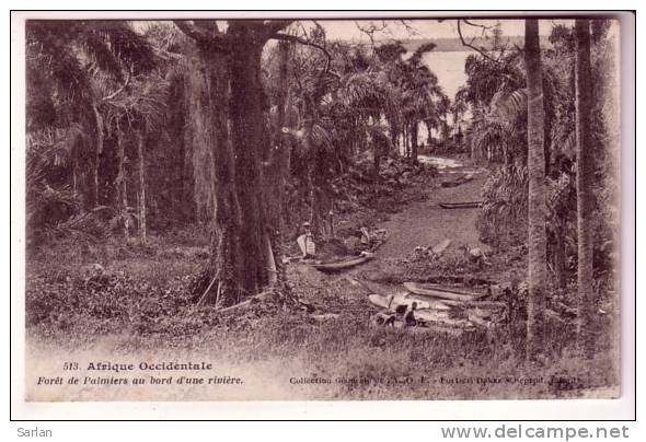 LOT-KO , AFRIQUE DIVERS , FORTIER N° 513 , Foret De Palmiers Au Bord D'une Riviere - Non Classés