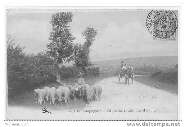 TROUPEAUX ), A La Campagne, En Pleine Route LES MOUTONS, N° 2 Hirondelle - Viehzucht