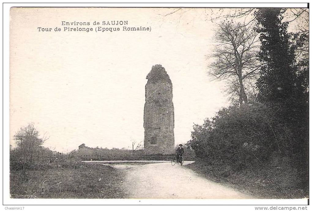 17 - Environs De  SAUJON  - Tour De Pirelonge ( Epoque Romaine) - Saujon