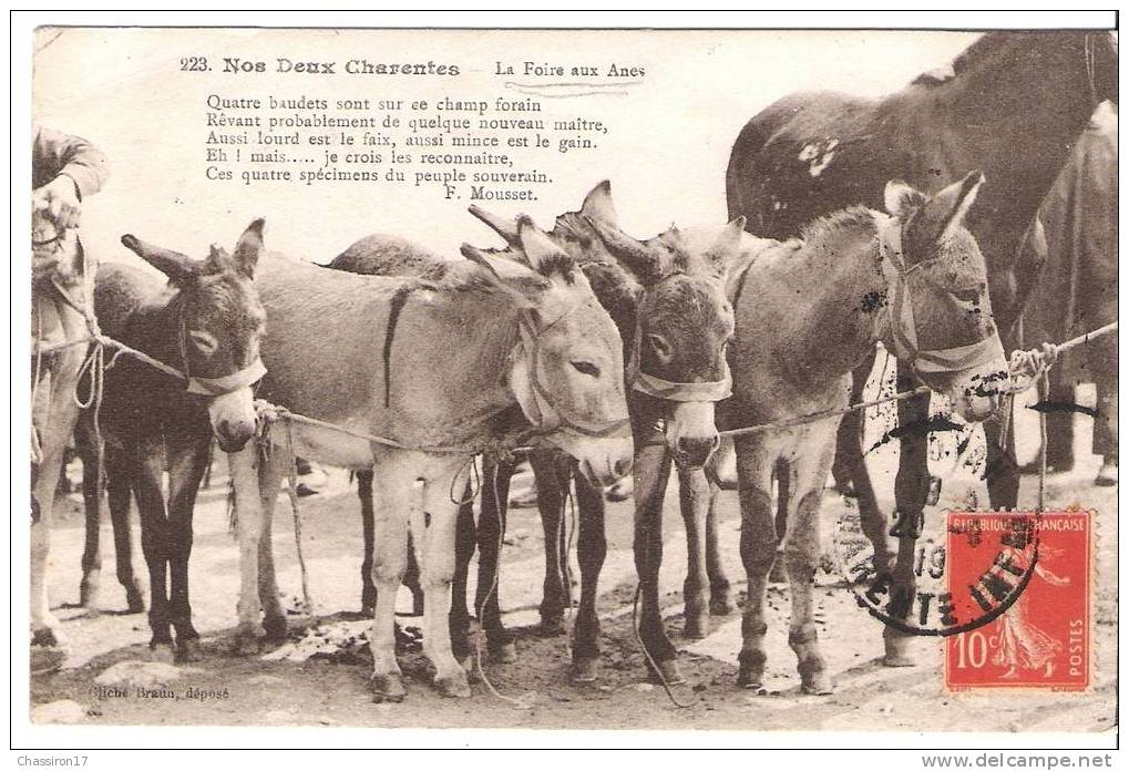 17 -   SAUJON  - Nos Deux Charentes - La Foire Aux ânes  - Poème De F. Mousset - Saujon