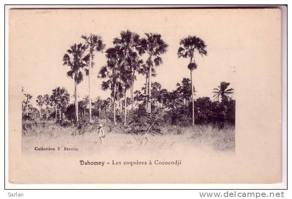 LOT-KO , DAHOMEY , Collection BESSON , Les Coqueres A Cococodji - Dahomey