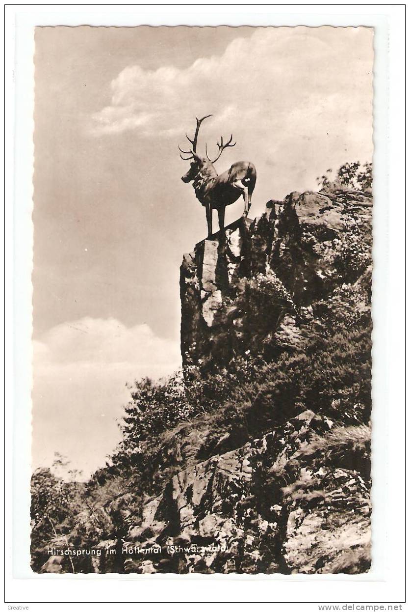 HIRSCHSPRUNG IM HÖLLENTAL - Schwarzwald -  Gelaufen  1957 - Höllental