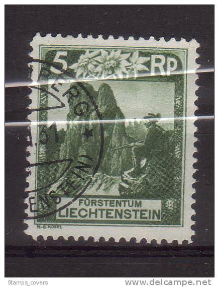 LIECHTENSTEIN USED MICHEL 95 €2.50 - Used Stamps