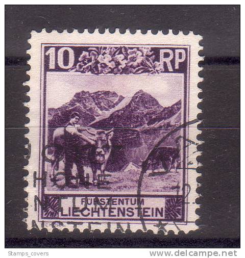 LIECHTENSTEIN USED MICHEL 96 €2.50 - Used Stamps