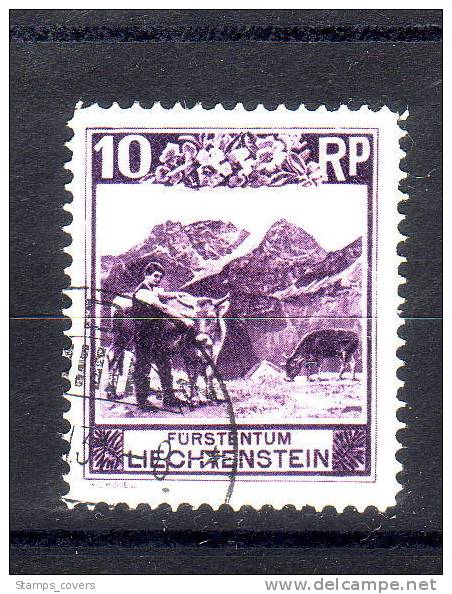 LIECHTENSTEIN USED MICHEL 96 €2.50 - Used Stamps