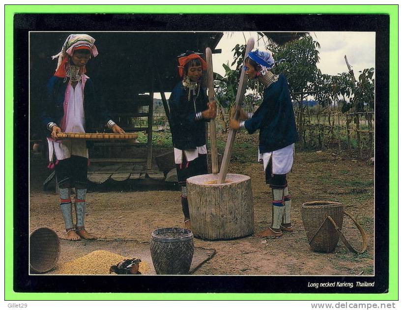 THAILANDE - LONG NECKED KARIENG - MYANMAR BORDE, MAE HONG SORN PROVINCE - - Thaïlande