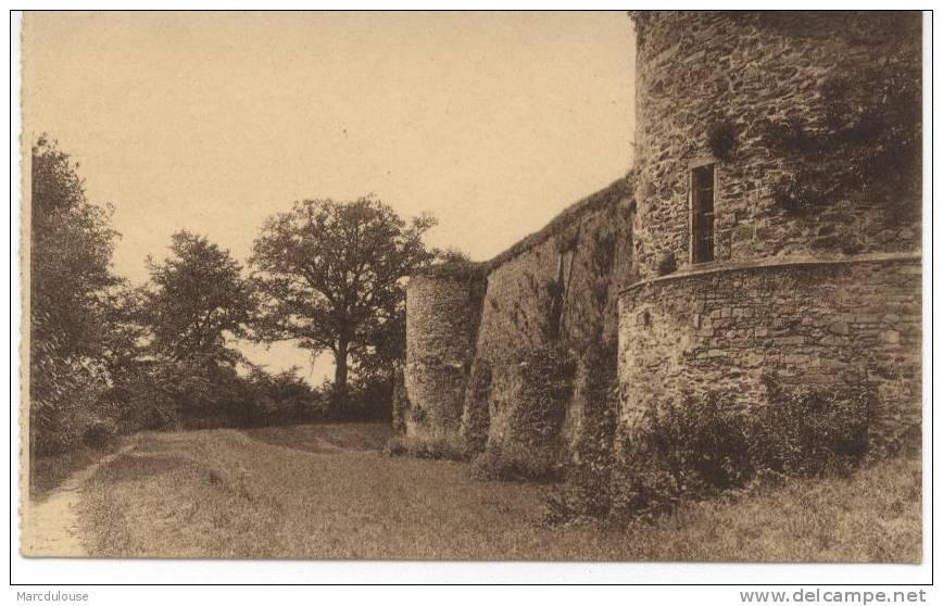 Gaasbeek - Gaesbeek (Lennik). Kasteel. Ontmantelde Toren Van Het Oud Kasteel. Middenwal En Sluippoort. Château. Tours. - Lennik