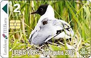 LATVIA-"BLACK-HEADED GULL"-BIRD2002 - Letland