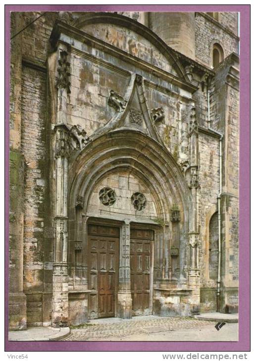SAINT GAUDENS - Eglise Collégiale XIIe XIIIe Siècles - Le Portail - Saint Gaudens