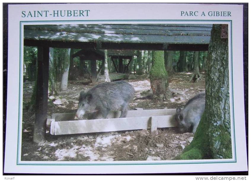 CP De SAINT-HUBERT " Parc à Giber " . - Saint-Hubert