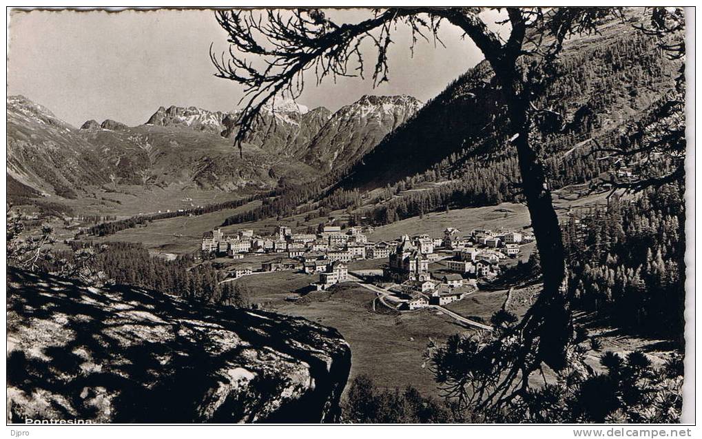 PONTRESINA - Pontresina