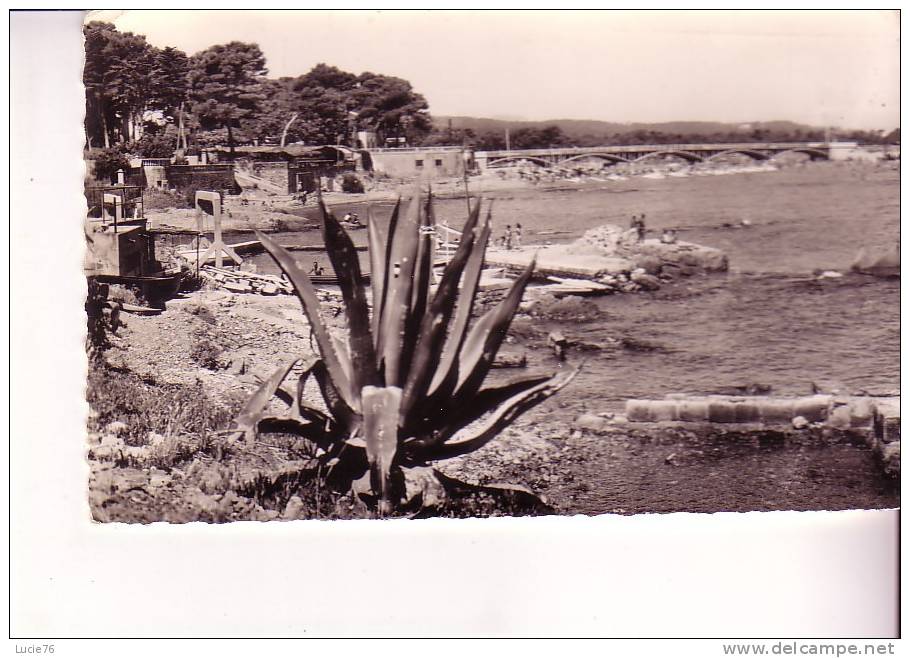 SAINT AYGULF -  Vue Sur Le Port Et La Grande Plage - N°  10868 - Saint-Aygulf