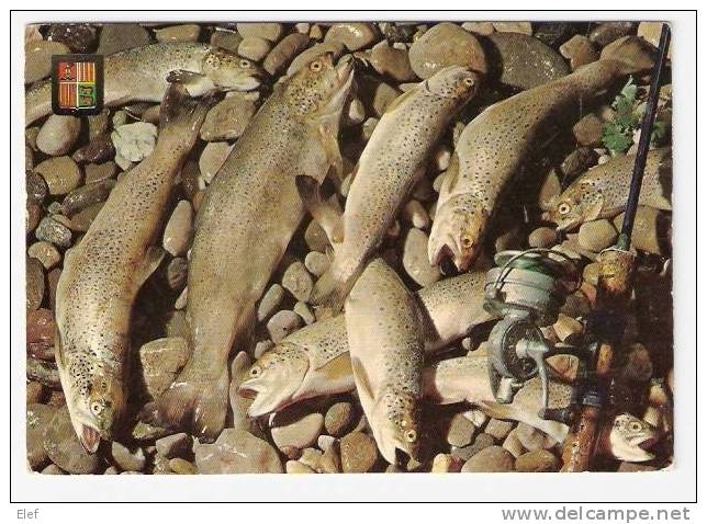 Pêche : VALLS D'ANDORRA / Andorre ; " Truites / Trout Fishing " , Canne Pour Pêche à La Mouche ; B/TB - Pesca