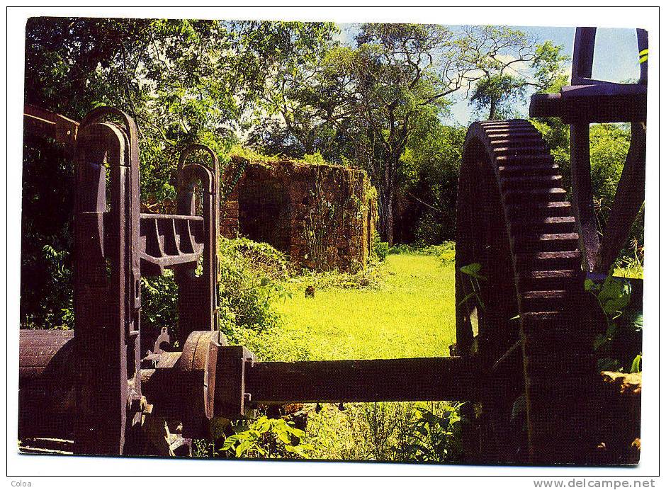 Guyane Remire Vestiges De L'ancienne Plantation Duval - Other & Unclassified