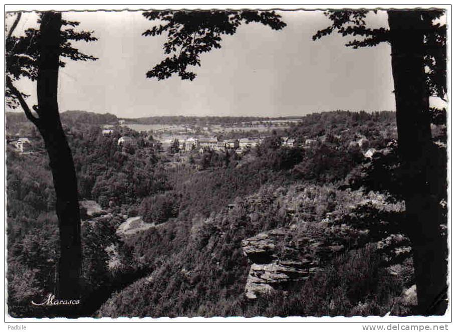 Carte Postale 67. La Petite-Pierre  Trés Beau Plan - La Petite Pierre