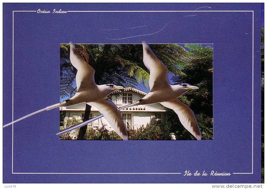 ILE DE LA REUNION -   Carte 3 Volets -   Mouettes (découpées)  Au Devant D´une Maison - Autres & Non Classés