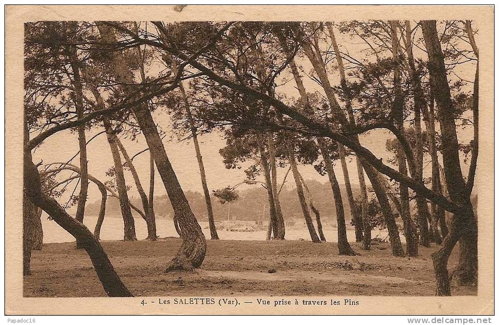 83 - Les Salettes - Vue Prise à Travers Les Pins - [Publicité De L'Hôtel-restaurant De La Réserve] - (circulée 1937) - Carqueiranne