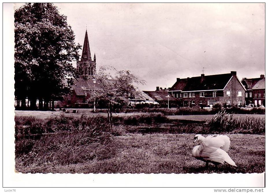 LANGEMARK -  Vijver En Kerk - Langemark-Poelkapelle