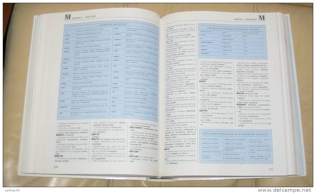 Le Dictionnaire Plus. De L'idée Aux Mots -l9 - Dictionnaires