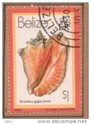 Belize 468 (1980) ;coquillages ; Ob.  Cote : 0.60 Eur. - Belize (1973-...)