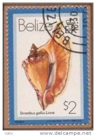 Belize 469 (1980) ;coquillages ; Ob.  Cote : 1.20 Eur. - Belize (1973-...)