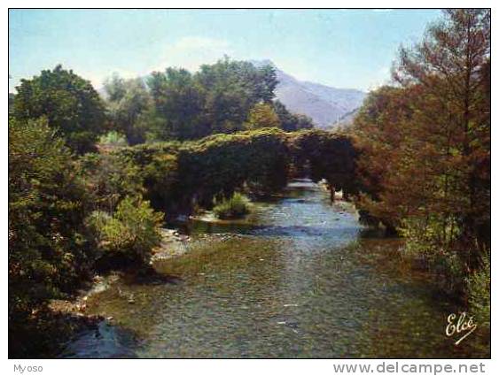 64 ST ETIENNE DE BAIGORRY La Nive Et L'Hotel Arce - Saint Etienne De Baigorry