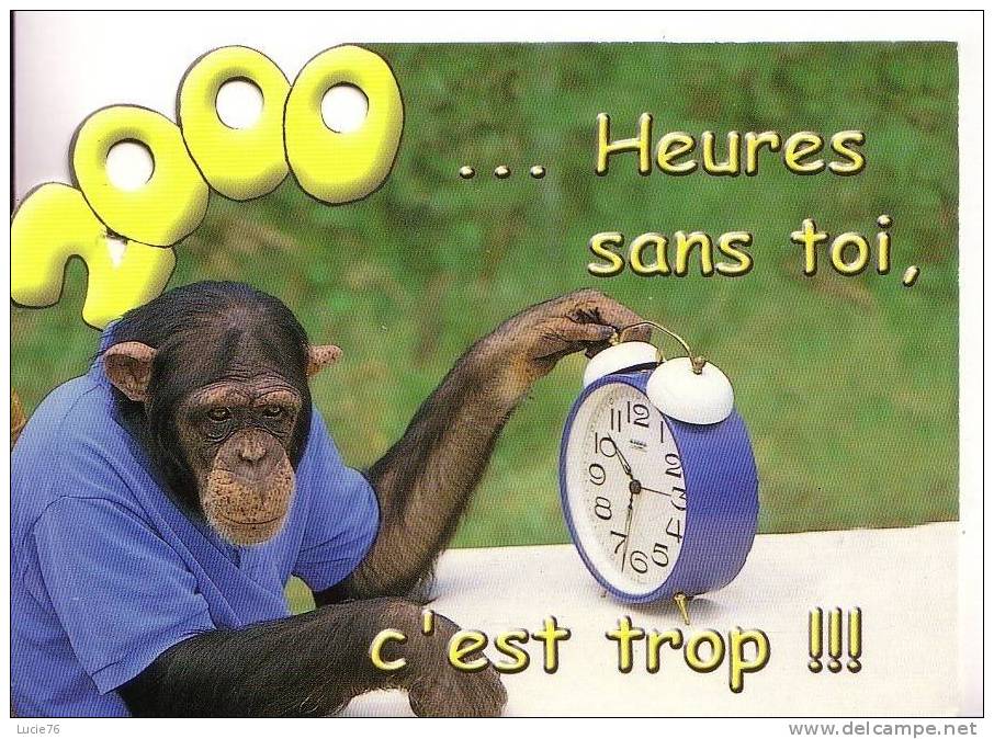 2000  -  .....  Heures Sans Toi, C´est Trop !!! -  Singe - Apen