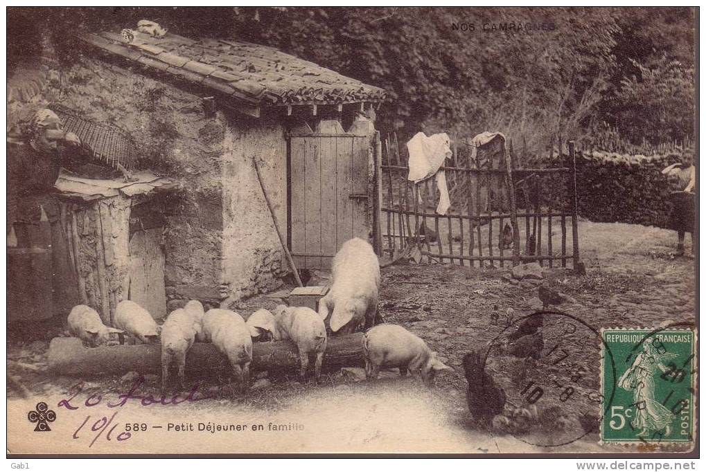 Petit Dejeuner En Famille - Schweine