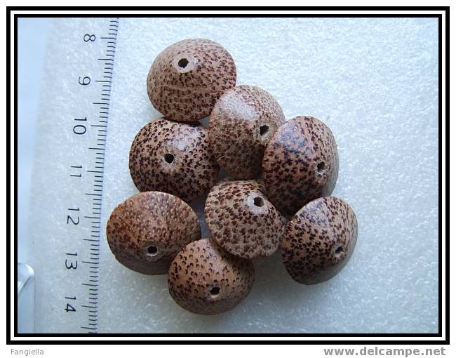 Lot De 5 Perles Rondelles En Palm Wood Environ 20x15mm - Perles