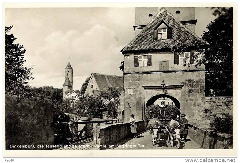 ALLEMAGNE - DINKELSBUHL, Die Tausendjahrige  - Partie Am Segringer-Tar - Dinkelsbühl