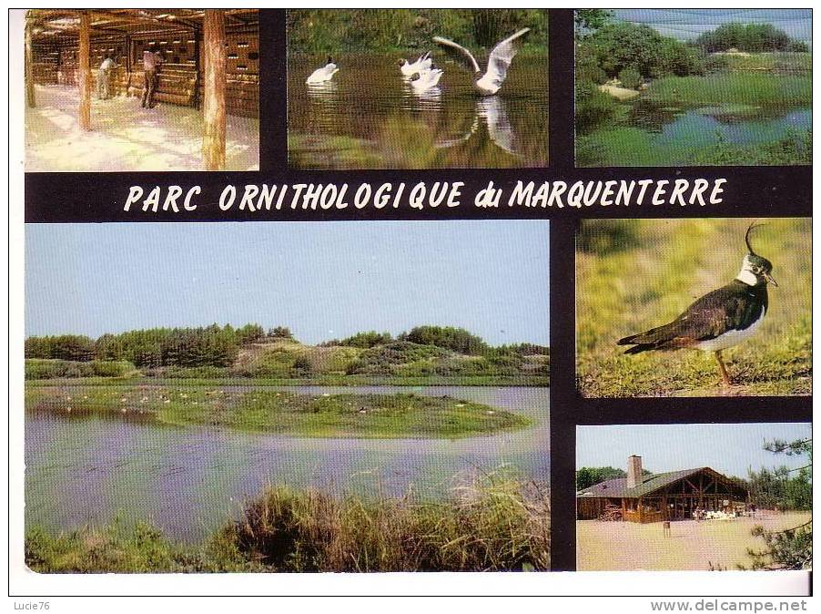 Parc ORNITHOLOGIQUE DU MARQUENTERRE -  RUE -  6 Vues : La Grande Mare - Un Poste D´Observation - Mouettes - ............ - Rue